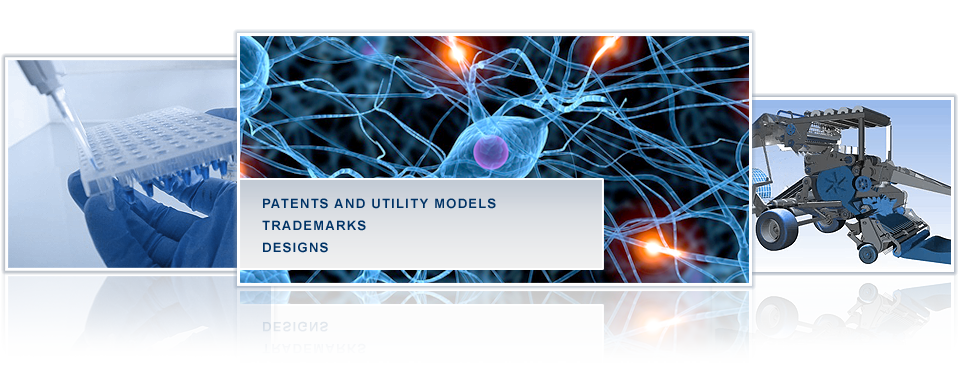 patent and utility model law, trademark law, design protection